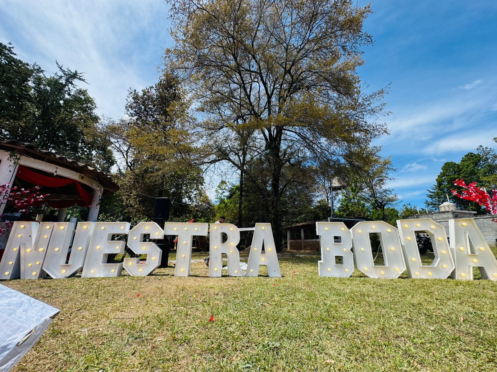 Bodas